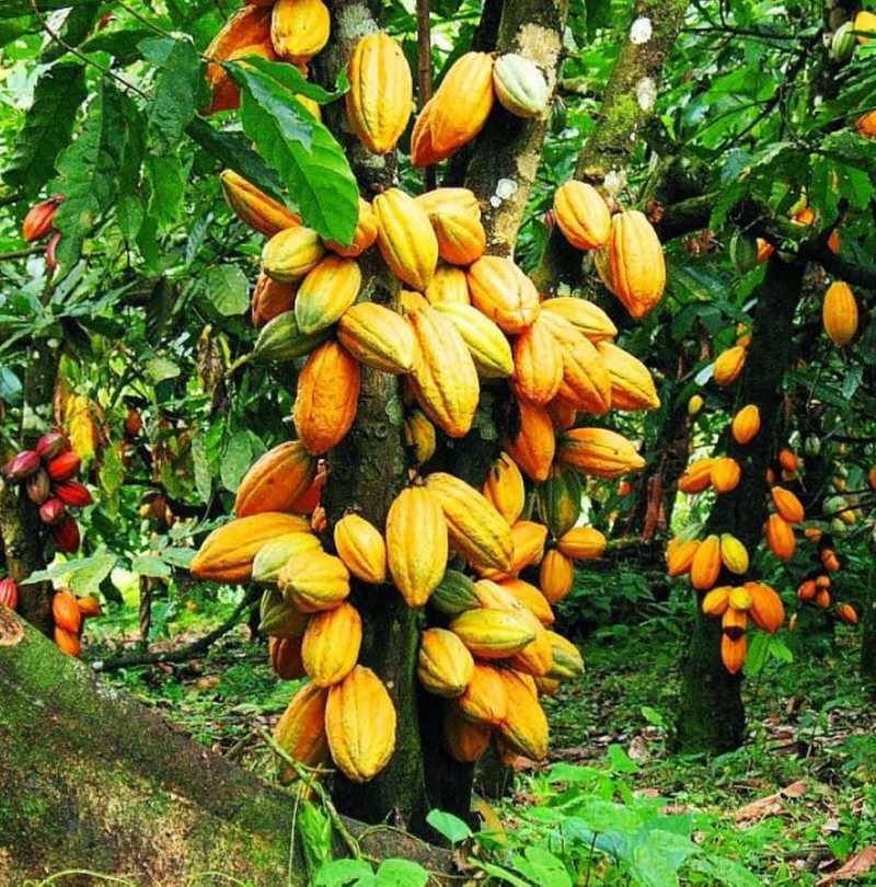 groupe de personne souriant