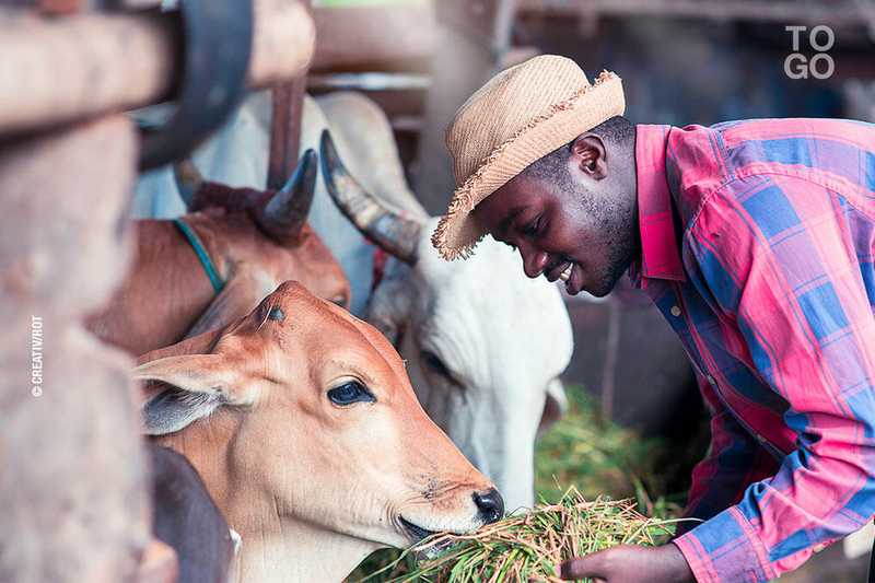 groupe de personne souriant